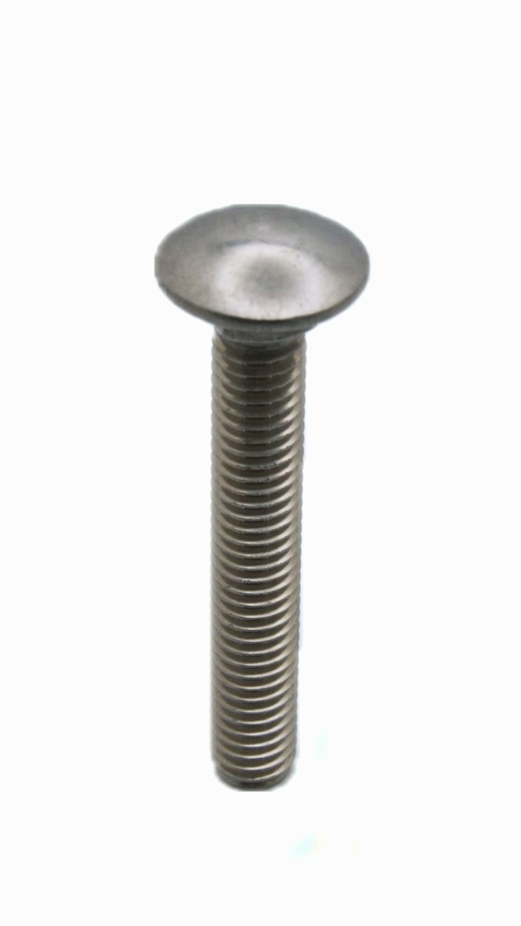 Carriage Bolts Image